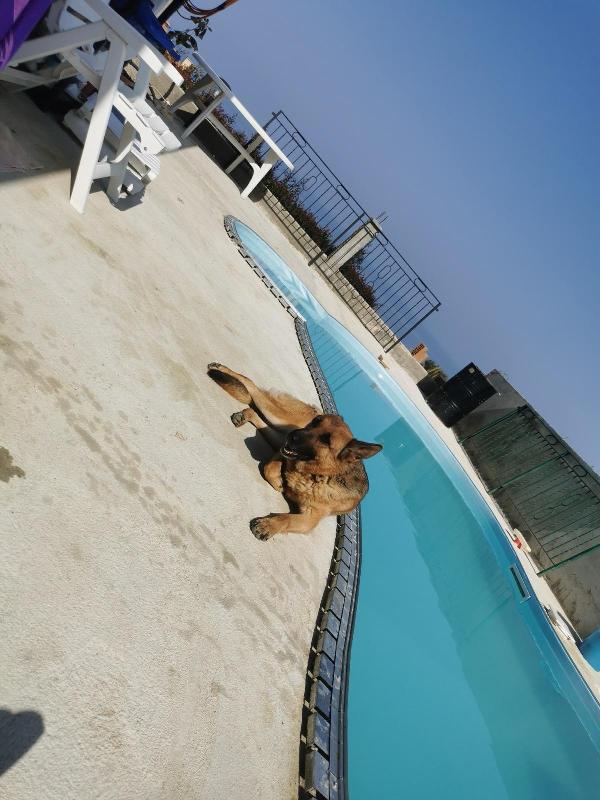 💔 La voce di Kora 💔 Foto 2